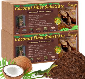 reptile bedding natural