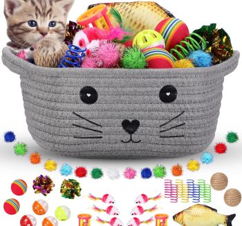 cat toy set bundle