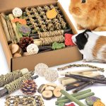 rabbit chew toys