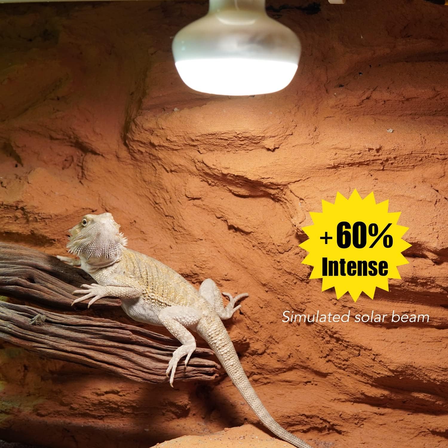 Basking Light for Reptiles, 2-Pack 100W Upgraded Intense Basking Spot, Reptile Heat Bulb Light, UVA Heat Lamp Bulbs for Bearded Dragon Turtle Chicken - Happypetzone.online - Image 4