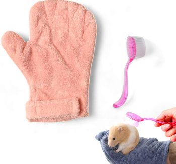 hamster grooming supplies