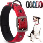 dog collar nylon strong