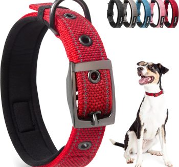dog collar nylon strong