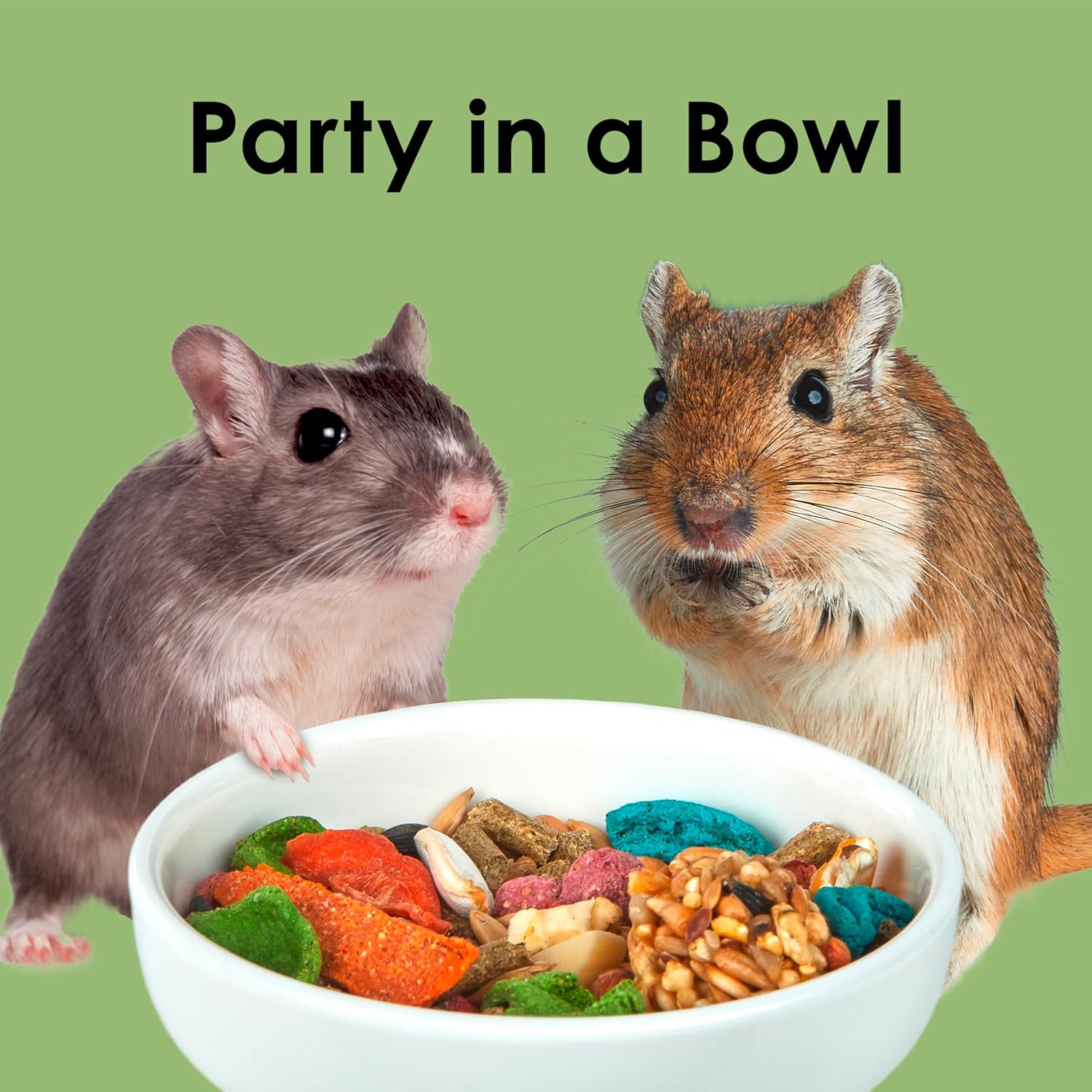 Kaytee Fiesta Hamster & Gerbil Food, Nutritious and Fun Blend, Supports Dental Health and Digestion, 2.5 pounds - Happypetzone.online - Image 10