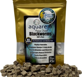 fish food for large fish