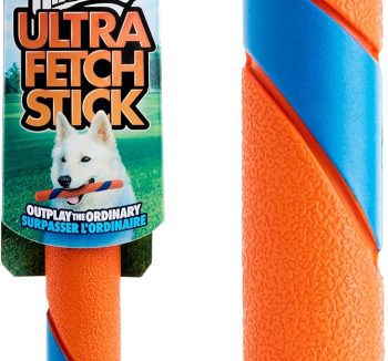 dog fetch toys