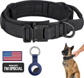 best dog collar