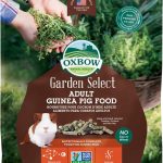 guinea pig food