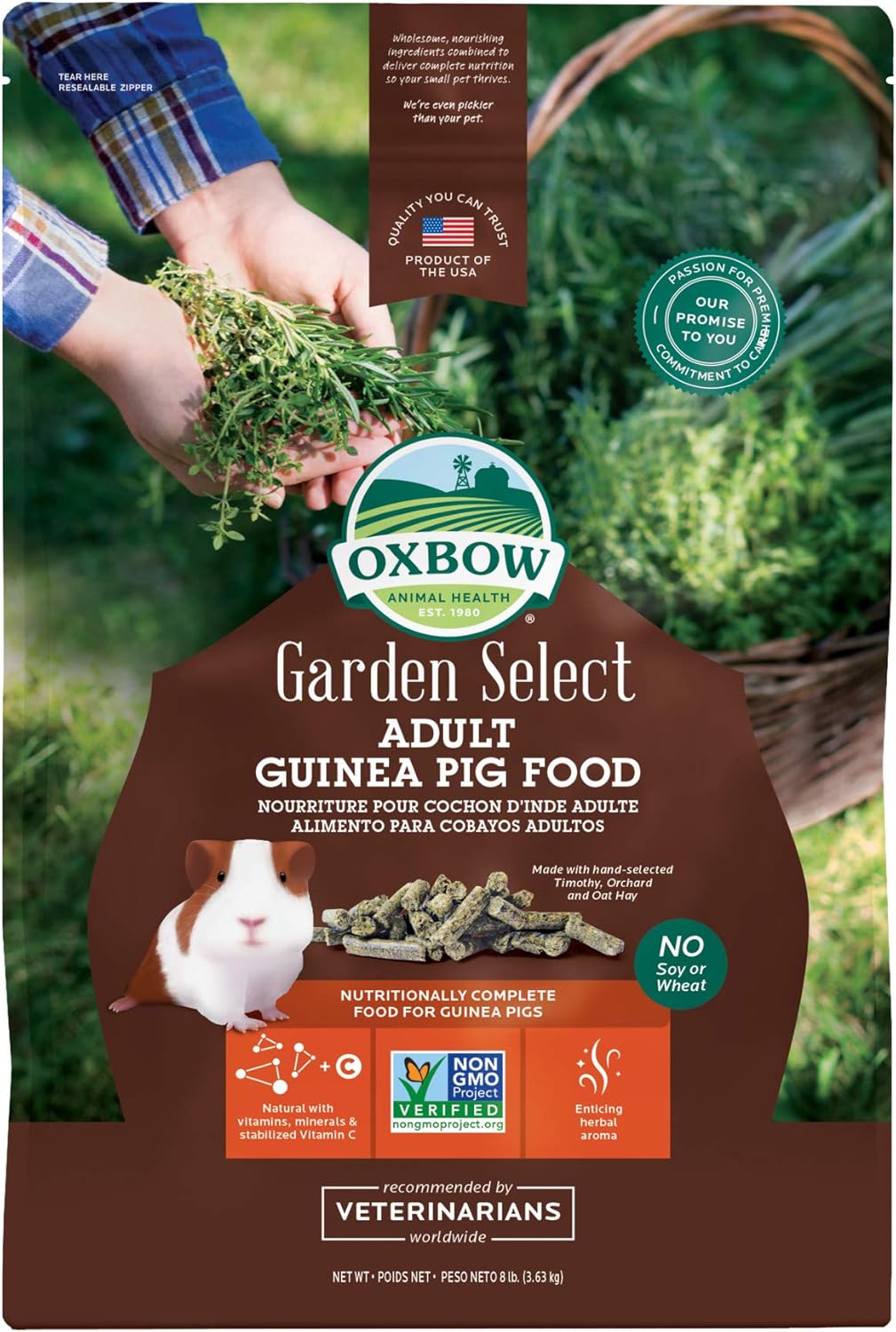 guinea pig food