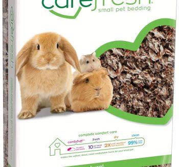 guinea pig bedding absorbent