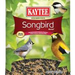 bird seed mix
