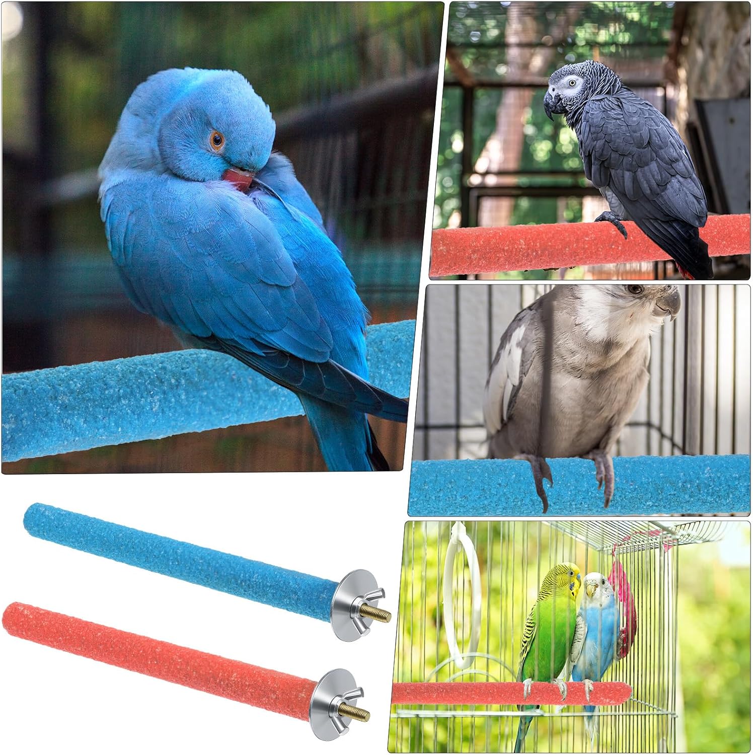 Bird Perches Stand for Cage, 2 Pcs Parrot Bird Cage Perch Toy Paw Grinding Stick Cages Wooden Grinding Claw Sticks Sanded Surface Cages Toy for Parakeets Finches Parakeet Toys Birdcage Accessories - Happypetzone.online - Image 7