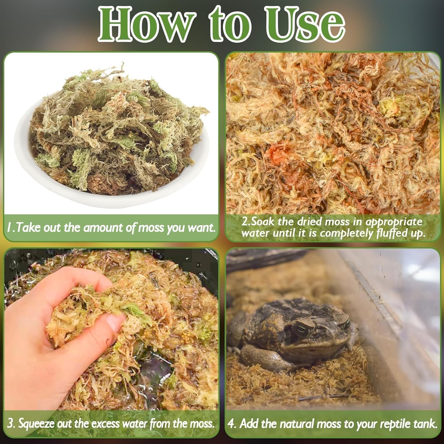 Halatool 3.5OZ Natural Sphagnum Moss for Reptiles Premium Reptile Moss Ideal Terrarium Moss for Box Turtles Hermit Crabs Leopard Gecko Snakes and Hamsters Enclosure - Happypetzone.online - Image 2