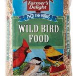 best bird food