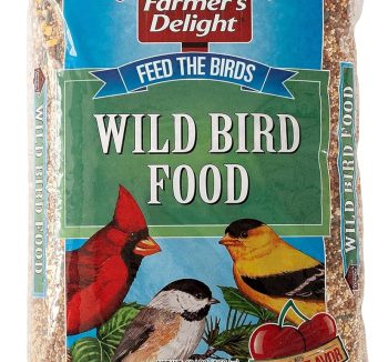 best bird food