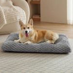 dog bed memory foam