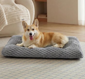 dog bed memory foam