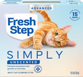 cat litter odor control