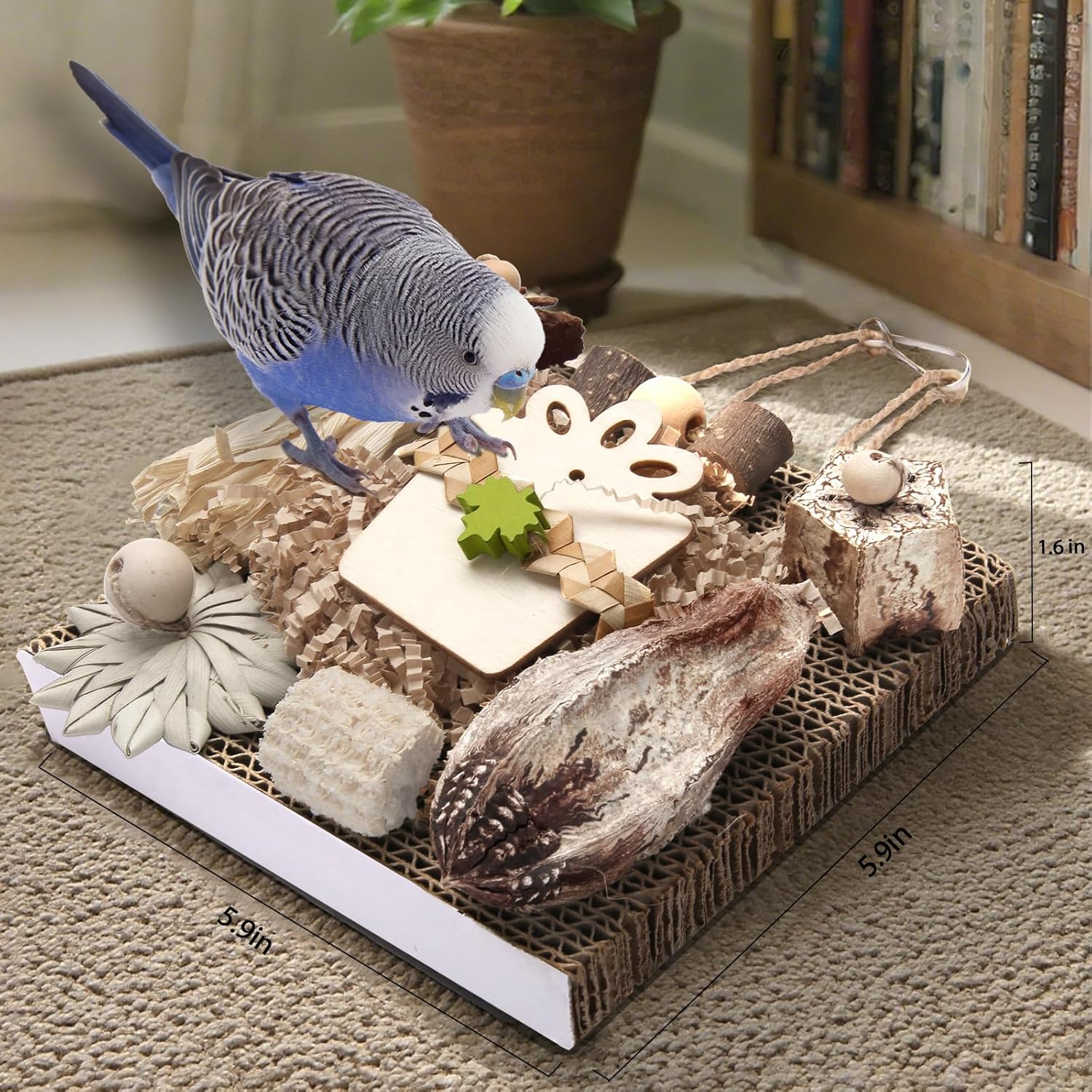 Kyouki Bird Toys, Parakeet Toys, Parrot Toy, Conure Hanging Chewable Cardboard Foraging Suitable for Budgies, Cockatiels, Lovebirds, Sun Conures - and Other Small/Medium Parrots (Medium) - Happypetzone.online - Image 5