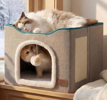 cat bed for large cats