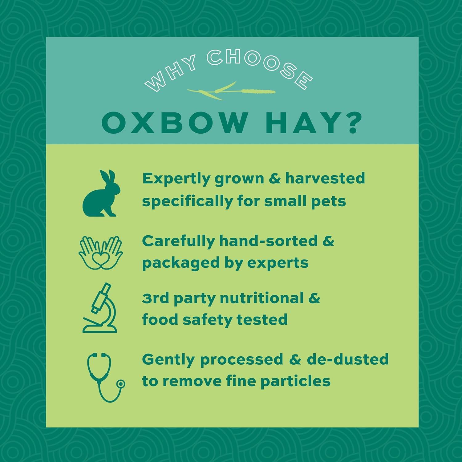 Oxbow Western Timothy Hay for Small Pets – All-Natural Grass Hay for Rabbits, Guinea Pigs, and Chinchillas – High Fiber for Digestive Health and Dental Support – 40 oz Bag - Happypetzone.online - Image 5