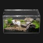 lizard terrarium setup