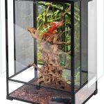 terrarium glass tank