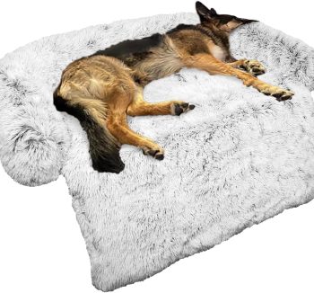 dog sofa bed