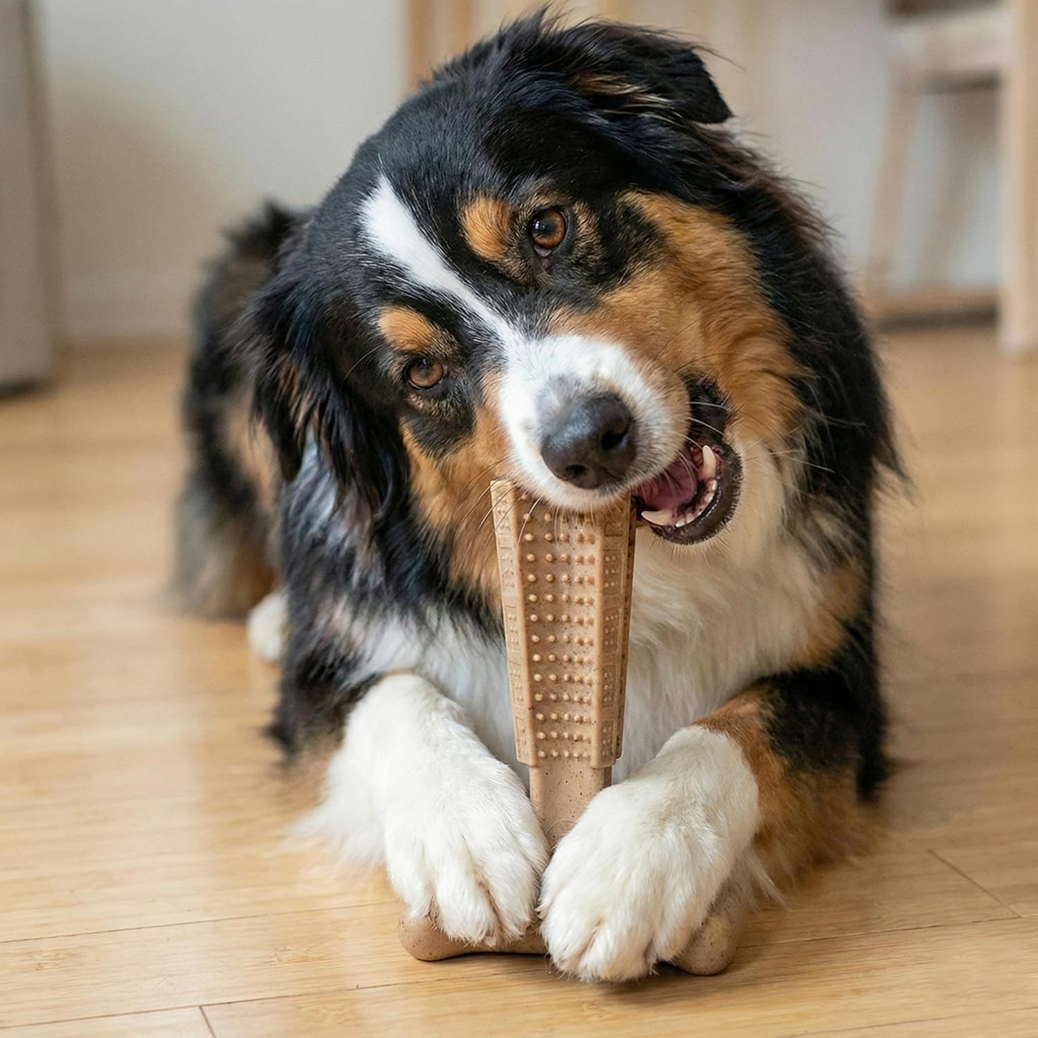 SPOT Bam-Bones Plus T-Bone Dog Chew Toy, Bamboo Fiber & Nylon, Chicken Flavor, Durable Non-Splintering Chew for Moderate to Aggressive Chewers, Dogs 30-60 lbs, 6 Inch - Happypetzone.online - Image 14
