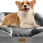 orthopedic dog bed