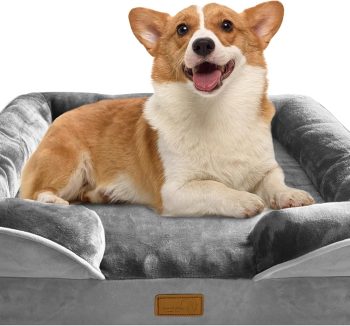 orthopedic dog bed