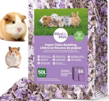 hamster bedding dust free
