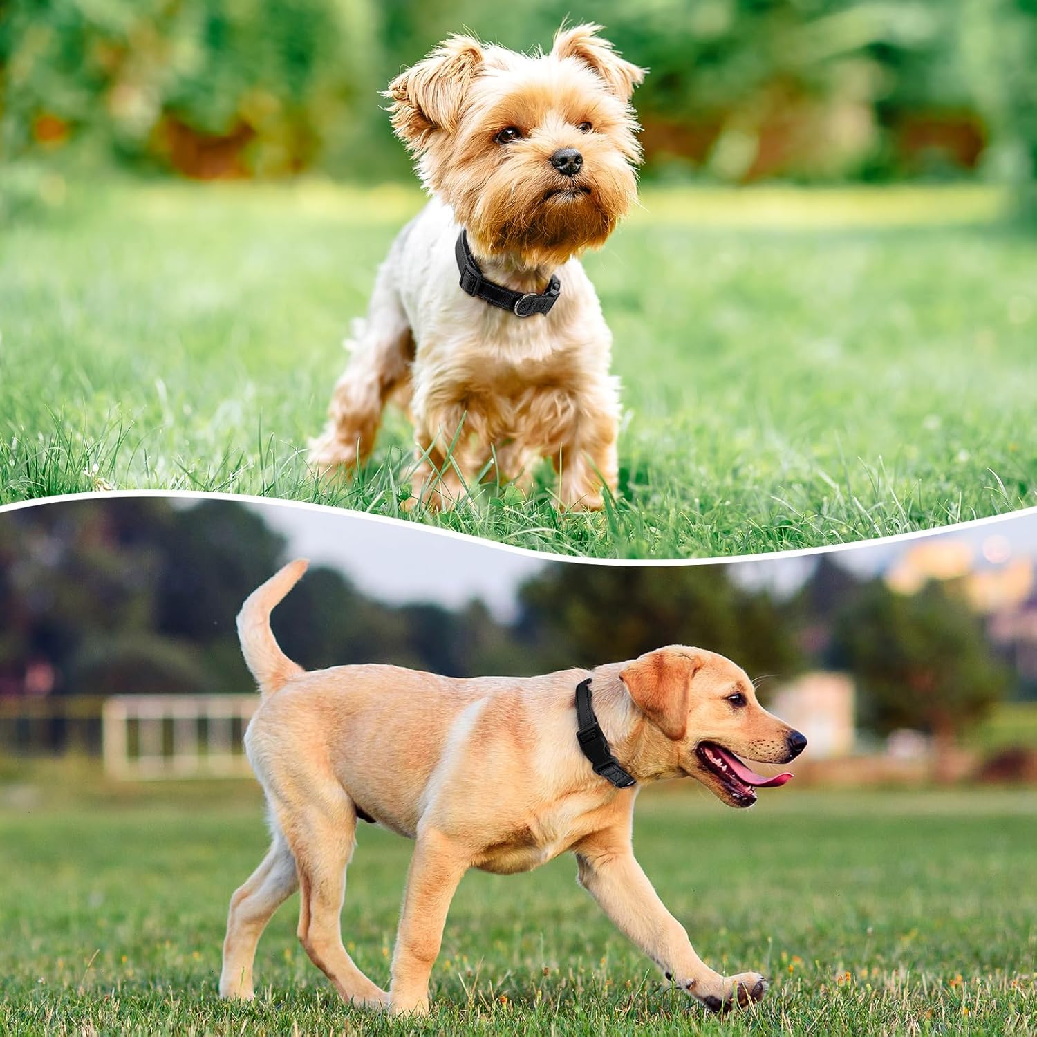 Reflective Dog Collar Padded with Soft Neoprene Breathable Quick Release Basic Dog Collars for Medium Large Dogs Black Boy Girl - Happypetzone.online - Image 2