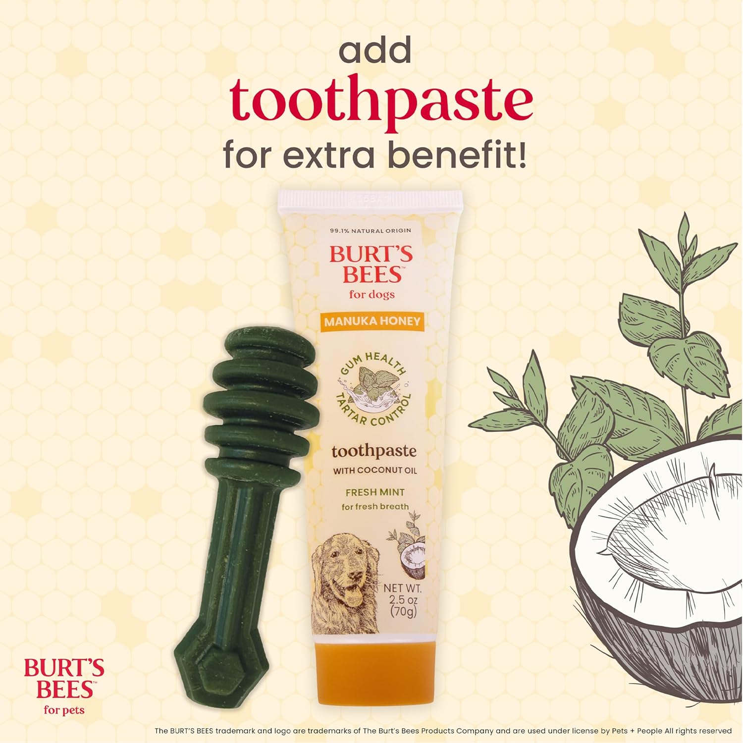 BURT'S BEES FOR PETS Dental Treats for Dogs with Manuka Honey & Ginger, Holistic, Plant-Based Oral Care, 98% Natural Origin Formulas, Peppermint Flavor, Dog Treats Small Dogs, Sz Sm 10ct, 7.4 oz - Happypetzone.online - Image 11