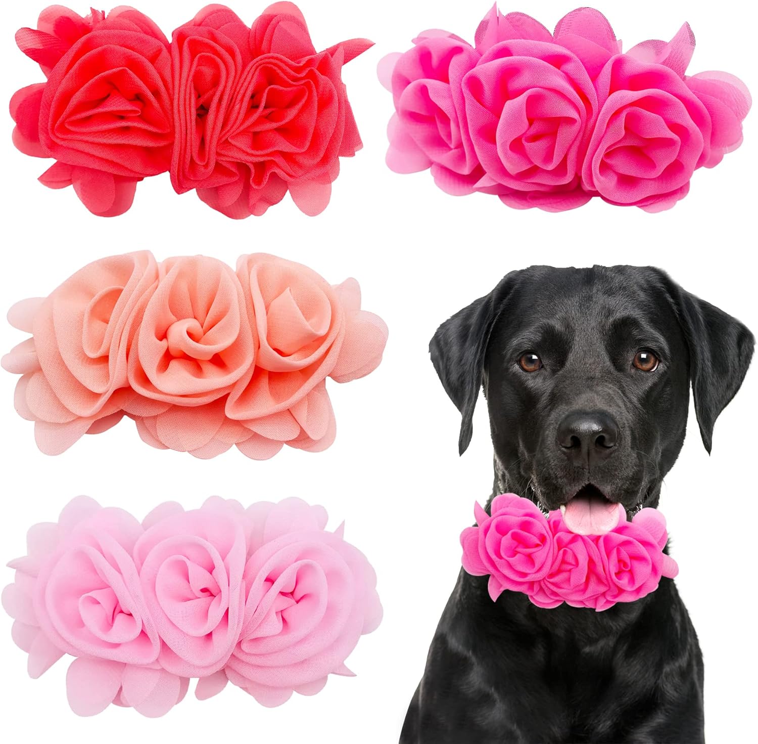 dog accessories fashion