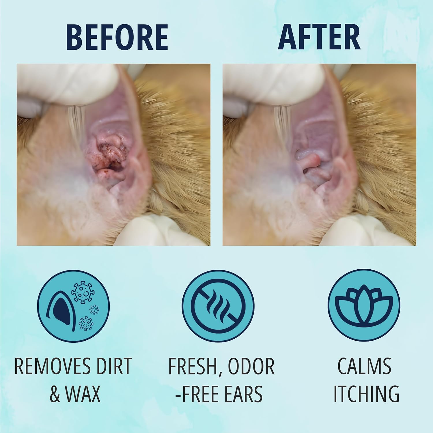 NOVEHA 150 PCs Cat Ear Wipes that Gently Clean & Soothe Sensitive Cat Ears; Soft Ear Cleaner for Removing Wax, Dirt & Odor; Alcohol-Free Ear Care with pH Balanced Formula; Unscented Grooming Care - Happypetzone.online - Image 4