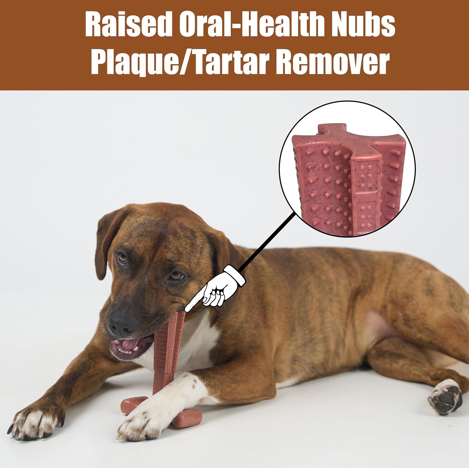 SPOT Bam-Bones Plus T Bone – Bamboo Fiber & Nylon Dog Chew Toy for Moderate to Aggressive Chewers, Durable Long Lasting & Non-Splintering, Beef Flavor Toy for Adult Dogs & Puppies Under 60 lbs, 6 in - Happypetzone.online - Image 10