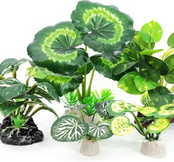 reptile plants artificial
