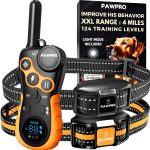dog training collar