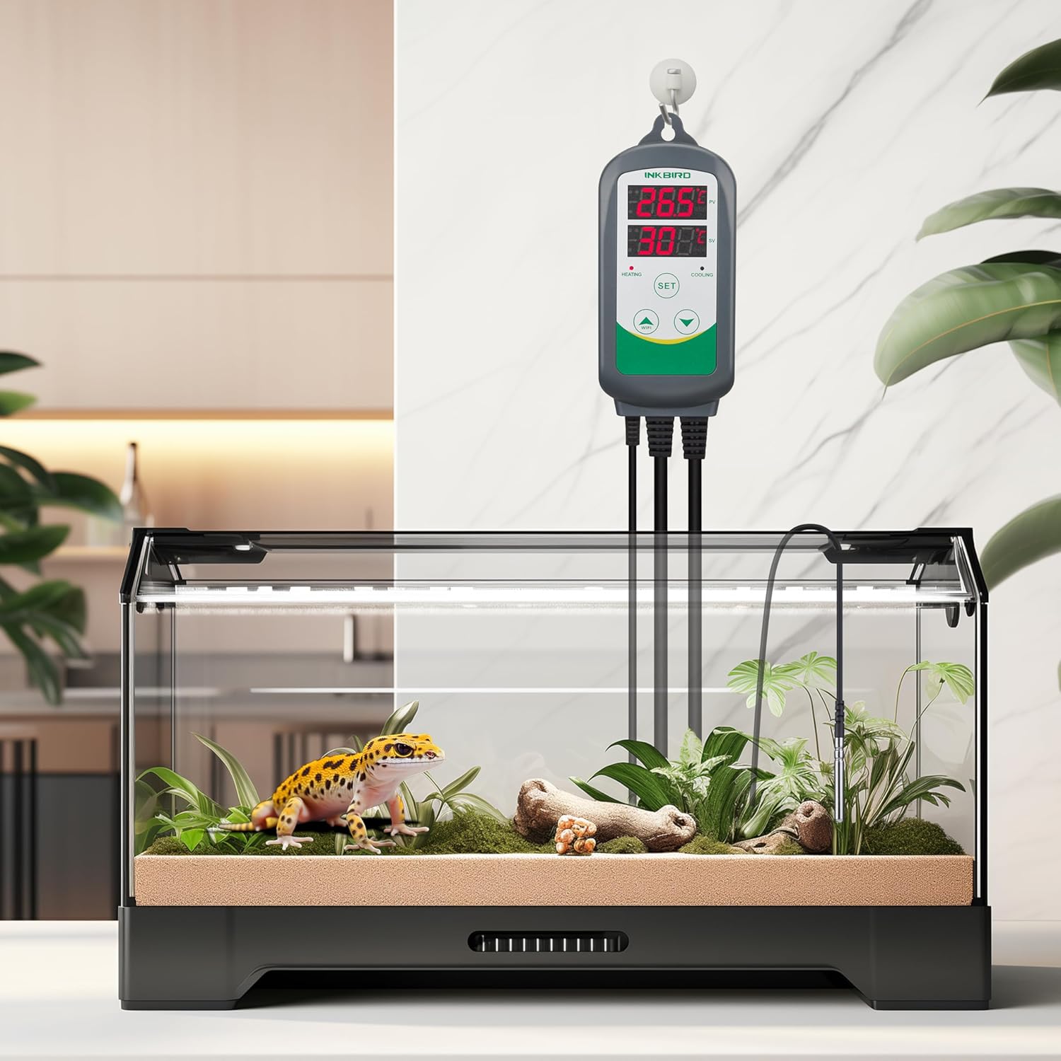 Inkbird ITC-308 Digital Temperature Controller 2-Stage Outlet Thermostat Heating and Cooling Mode Carboy Homebrew Fermenter Greenhouse Terrarium 110V 10A 1100W - Happypetzone.online - Image 4