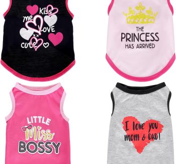 dog clothes cute
