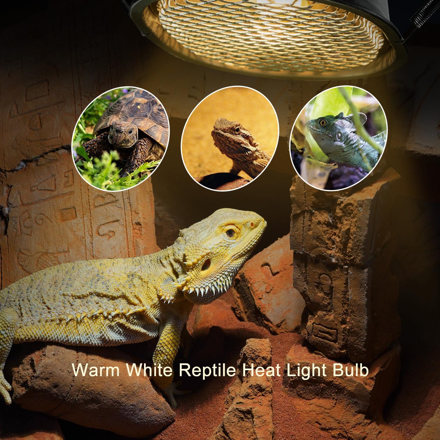 G9 Reptile Heat Lamp Bulb and Light Fixture with Safety Mesh, G9 Mini Heat Bulb 50W Warm White, UVA Reptile Heat Lamp and Basking Lampshade for Bearded Dragon Gecko Turtle Lizard Snake - Happypetzone.online - Image 3