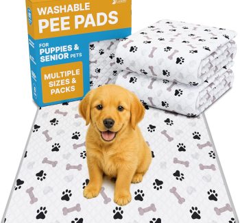 dog training pads