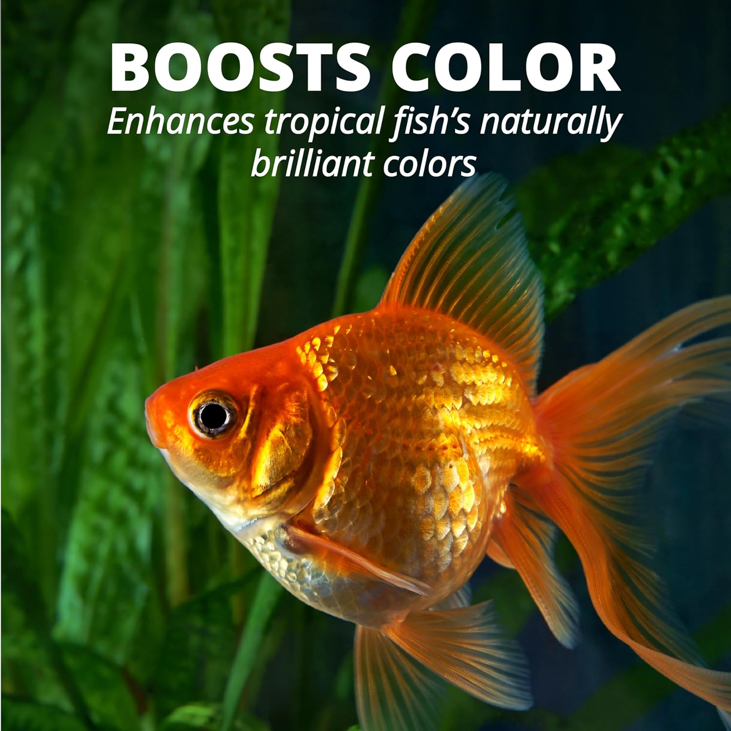 Tetra Goldfish Flakes, Nutritionally Balanced Diet For Aquarium Fish, Vitamin C Enriched Flakes, 7.06 oz - Happypetzone.online - Image 13