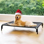 raised dog bed outdoor