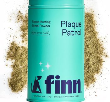 dog food for sensitive stomach
