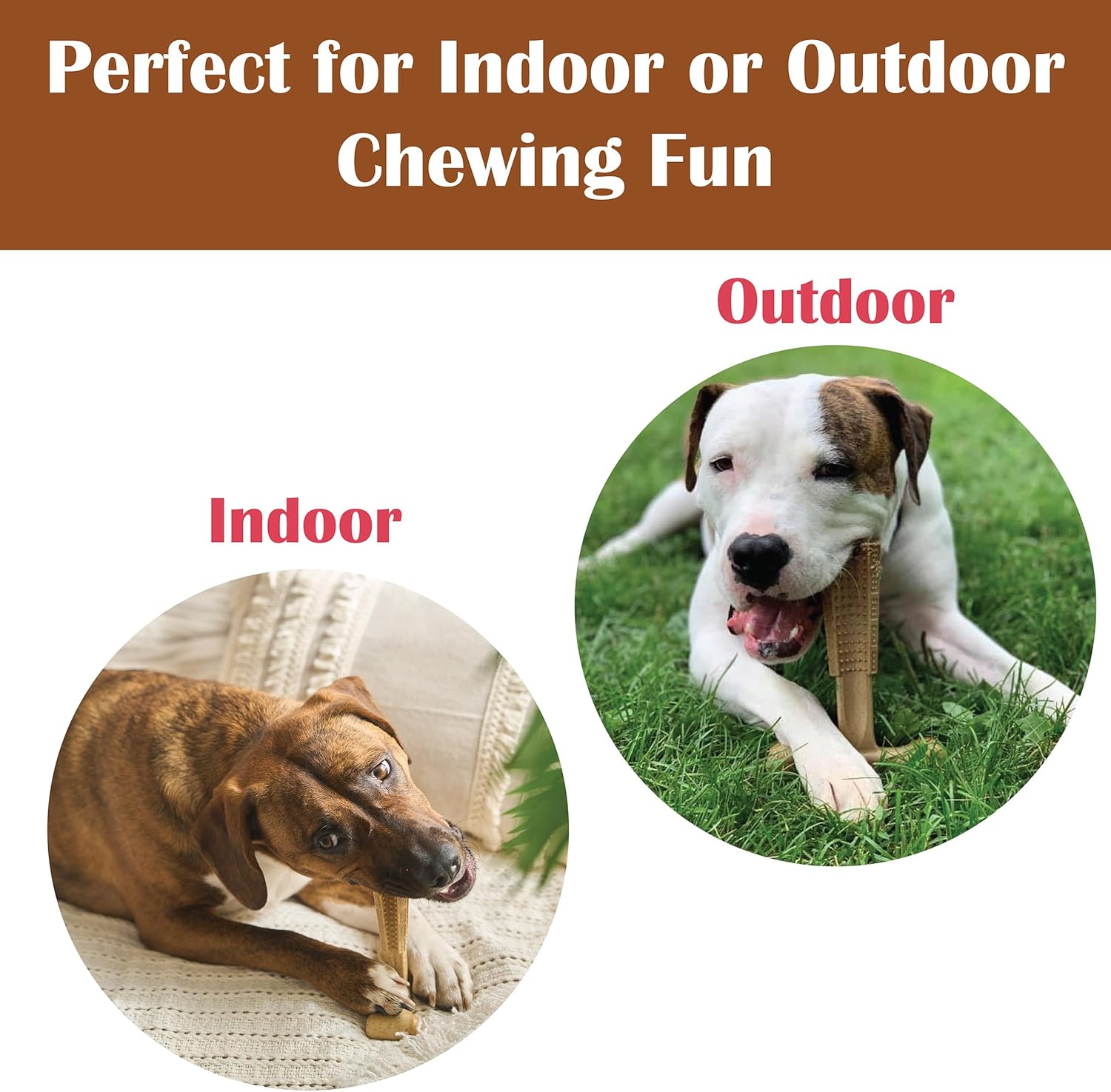 SPOT Bam-Bones Plus T-Bone Dog Chew Toy, Bamboo Fiber & Nylon, Chicken Flavor, Durable Non-Splintering Chew for Moderate to Aggressive Chewers, Dogs 30-60 lbs, 6 Inch - Happypetzone.online - Image 8