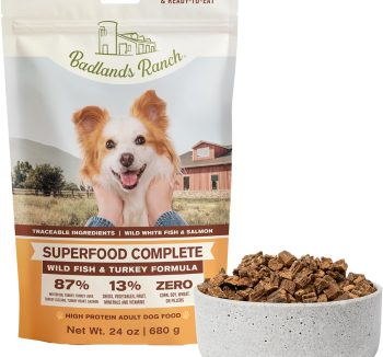 best dry dog food