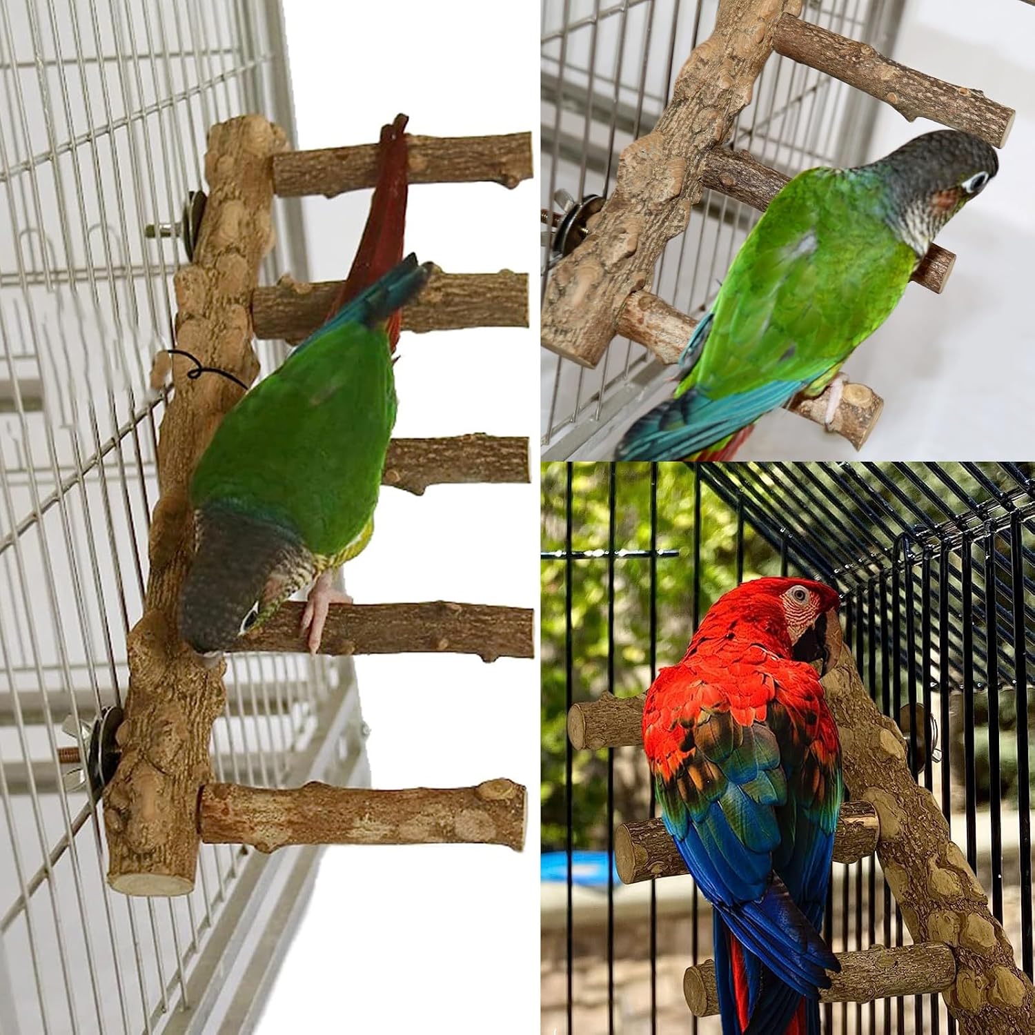 Bird Parrot Ladder Perch for Cage, Nature Wooden Bird Bridge Exercise Stands Parrot Climbing Chewing Toys for Small Animal - Happypetzone.online - Image 4