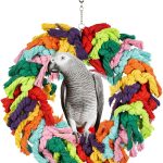 bird swing durable